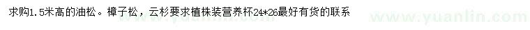 求购油松、樟子松、云杉