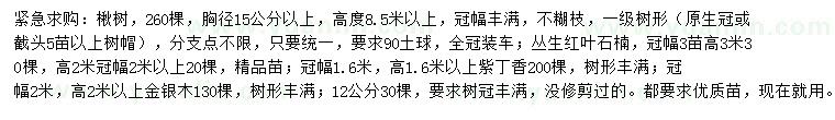 求购楸树、红叶石楠、紫丁香等