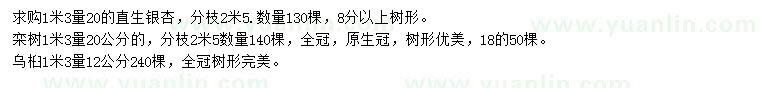 求购银杏、栾树、乌桕