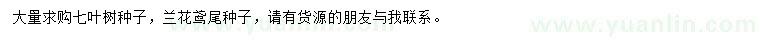 求购七叶树种子、兰花鸢尾种子