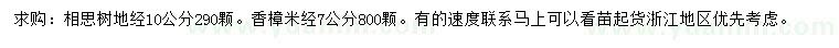 求购地径10公分相思树、米径7公分香樟