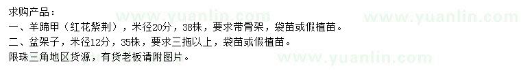 求购米径20公分羊蹄甲、12公分盆架子