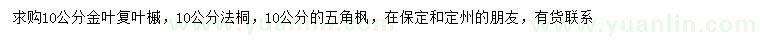 求购金叶复叶槭、法桐、五角枫