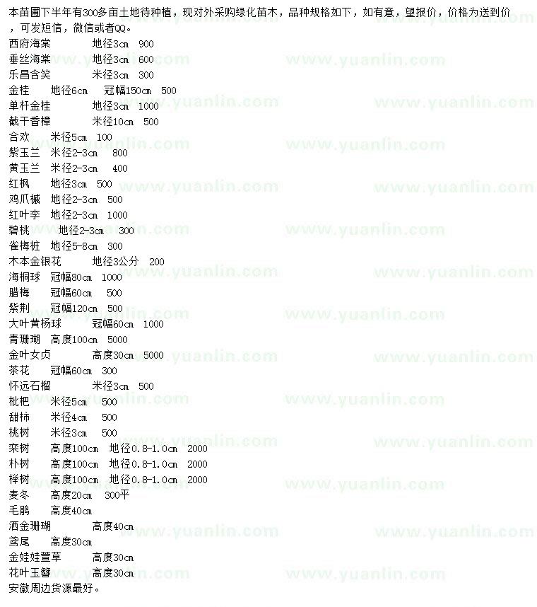 求购西府海棠、垂丝海棠、乐昌含笑等