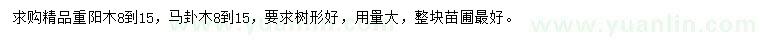 求购8-15公分重阳木、马卦木