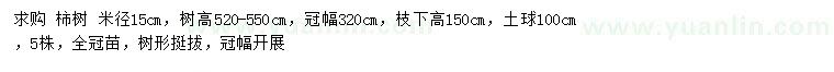 求购米径15公分柿树