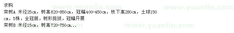 求购米径15、25公分栾树