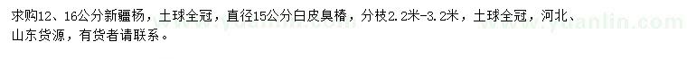 求购12、16公分新疆杨、直径15公分白皮臭椿