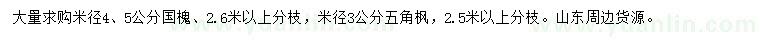 求购米径4、5公分国槐、米径3公分五角枫