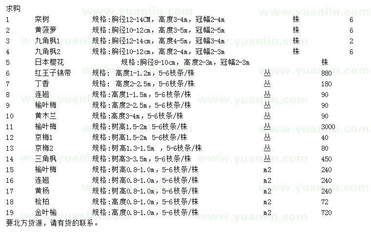 求购栾树、黄菠萝、九角枫等