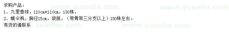 求购九里香球、胸径15公分幌伞枫