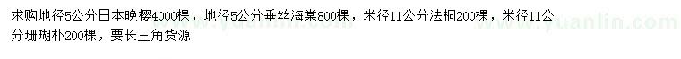 求购日本晚樱、垂丝海棠、法桐等