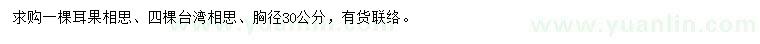 求购胸径30公分耳果相思、台湾相思