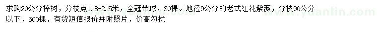 求购20公分榉树、地径9公分老式红花紫薇