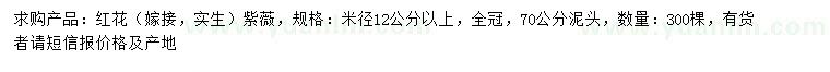 求购米径12公分以上红花紫薇