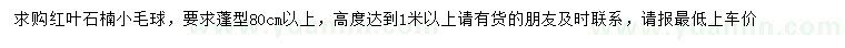 求购高1米以上叶石楠小毛球