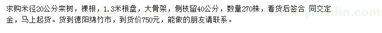 求购米径20公分栾树