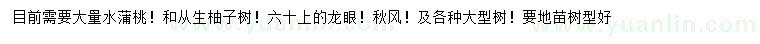 求购水蒲桃、从生柚子树、龙眼等