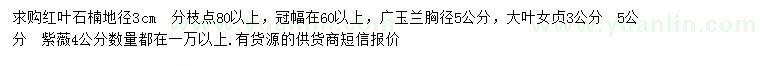 求购红叶石楠、广玉兰、大叶女贞等