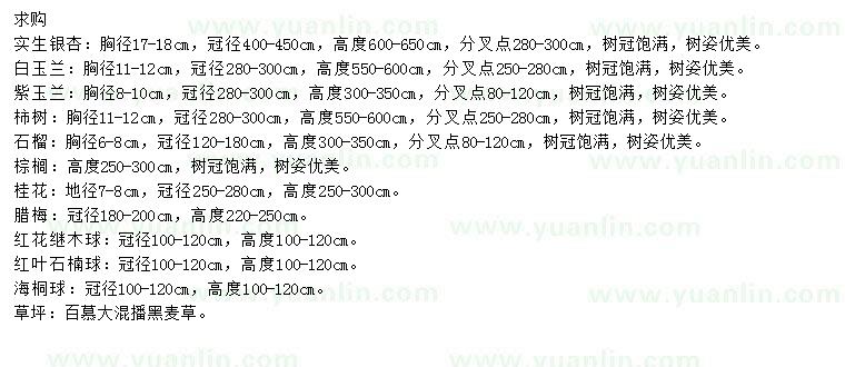 求购银杏、白玉兰、紫玉兰等