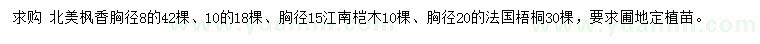 求购北美枫香、江南桤木、法国梧桐