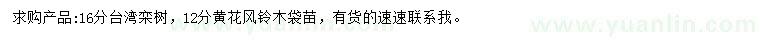 求购16公分台湾栾树、12公分黄花风铃木