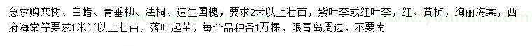 求购栾树、白蜡、青垂柳等