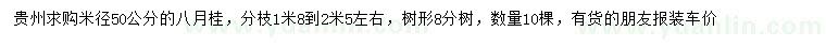 求购米径50公分八月桂