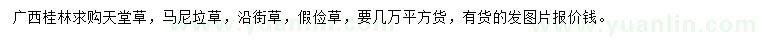 求购天堂草、马尼垃草、沿街草等