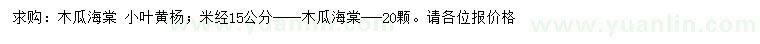 求购米径15公分木瓜海棠、小叶黄杨