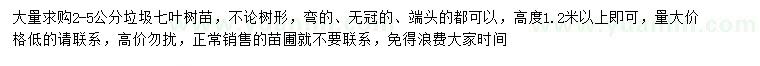 求购2-5公分七叶树