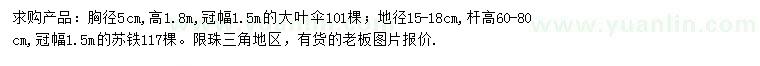 求购胸径5公分大叶伞、地径15-18公分苏铁