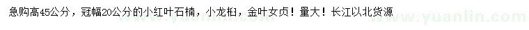 求购红叶石楠、龙桕、金叶女贞