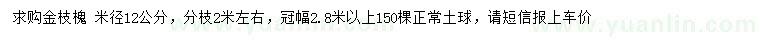 求购米径12公分金枝槐