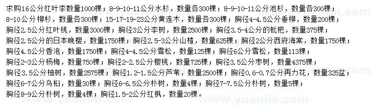 求购红叶李、水杉、池杉等