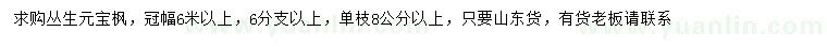 求购冠幅6米以上丛生元宝枫