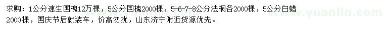 求购速生国槐、法桐、白蜡