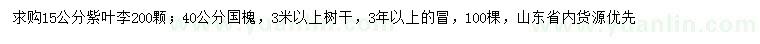 求购15公分紫叶李、40公分国槐