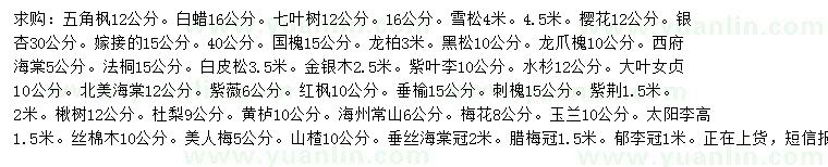 求购五角枫、白蜡、七叶树等