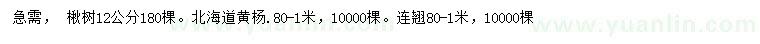 求购楸树、北海道黄杨、连翘