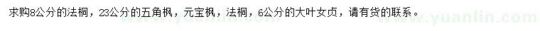 求购法桐、五角枫、元宝枫