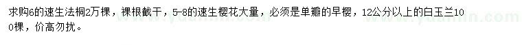 求购速生法桐、速生樱花、白玉兰