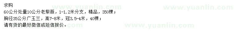 求购60公分处量10公分老紫薇、胸径35公分广玉兰