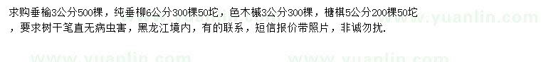 求购垂榆、纯垂柳、色木槭等