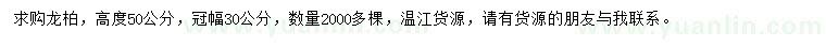 求购高50公分龙柏