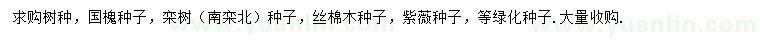 求购国槐种子、栾树种子、丝棉木种子等