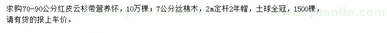 求购70-90公分红皮云杉、7公分丝棉木