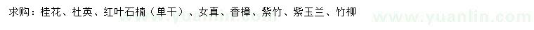 求购桂花、杜英、红叶石楠等