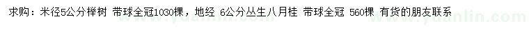 求购米径5公分榉树、地 6公分丛生八月桂