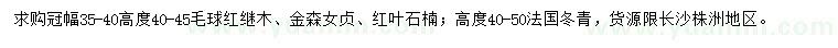 求购红继木、金森女贞、红叶石楠毛球